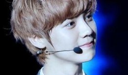 鹿晗爆料韩国女星视频播放,真相与争议